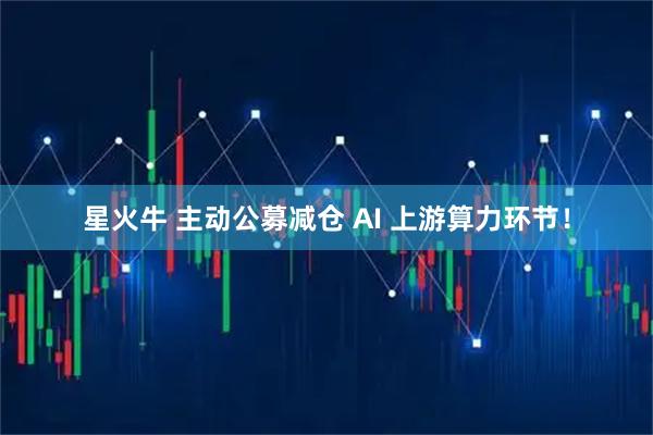 星火牛 主动公募减仓 AI 上游算力环节！
