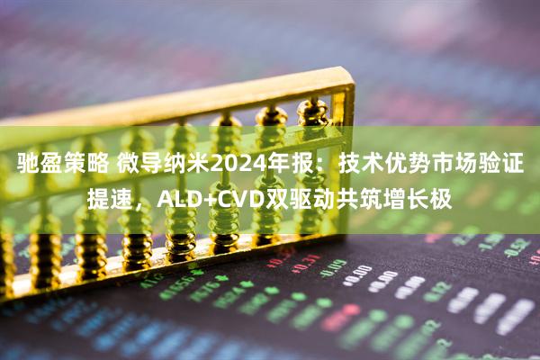 驰盈策略 微导纳米2024年报：技术优势市场验证提速，ALD+CVD双驱动共筑增长极