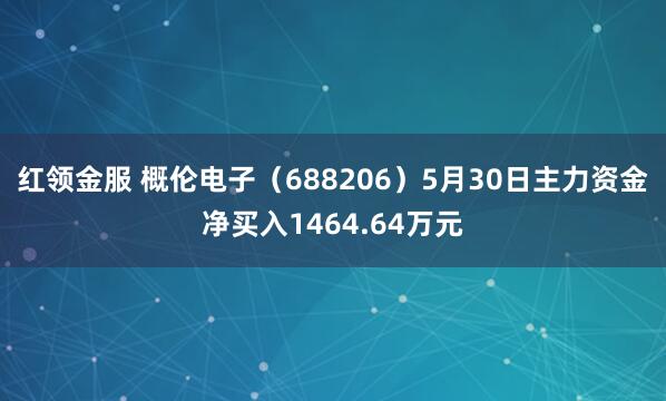 红领金服 概伦电子（688206）5月30日主力资金净买入1464.64万元