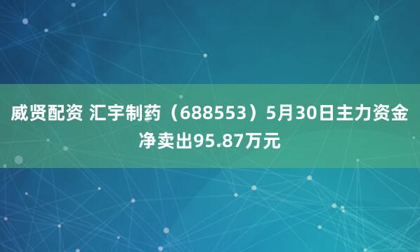 威贤配资 汇宇制药（688553）5月30日主力资金净卖出95.87万元