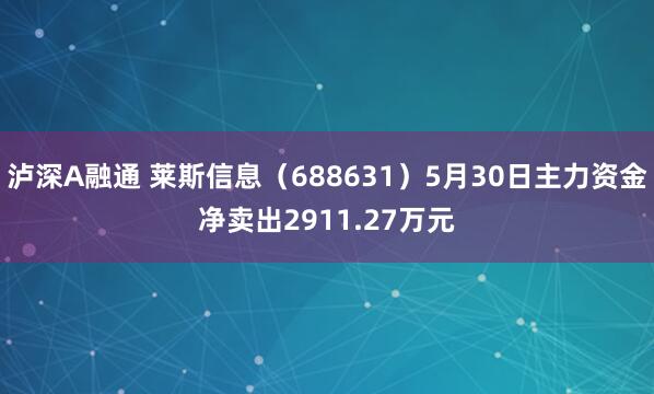 泸深A融通 莱斯信息（688631）5月30日主力资金净卖出2911.27万元