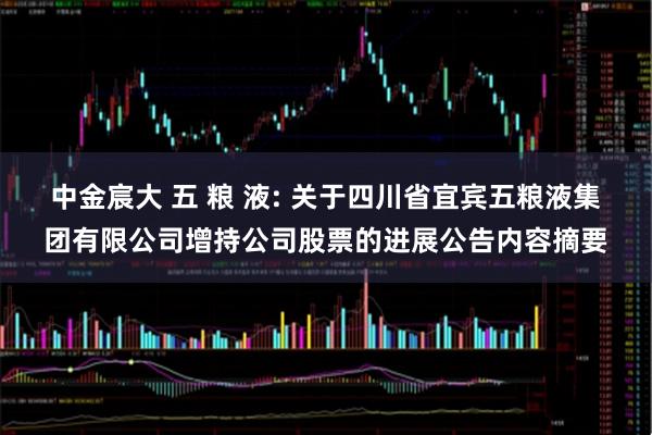 中金宸大 五 粮 液: 关于四川省宜宾五粮液集团有限公司增持公司股票的进展公告内容摘要