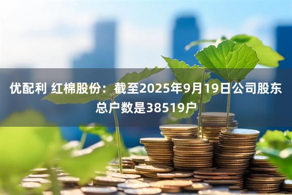 优配利 红棉股份：截至2025年9月19日公司股东总户数是38519户