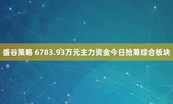 盛谷策略 6783.93万元主力资金今日抢筹综合板块